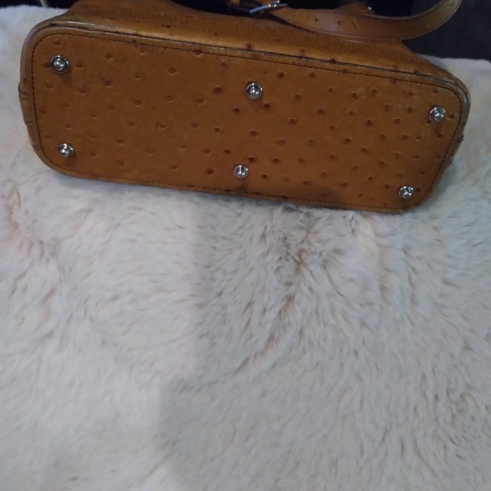 Dooney & Bourke Purse